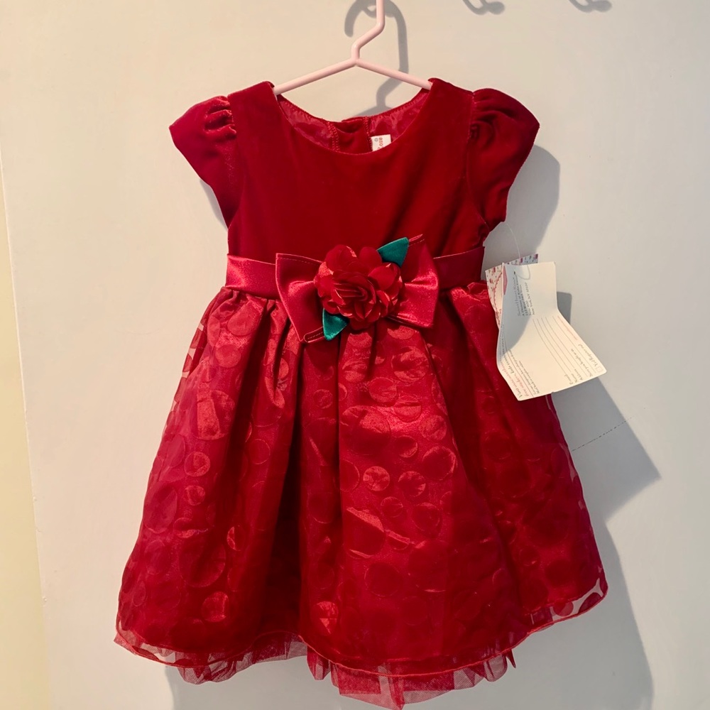 Sweet Heart Rose girls dress